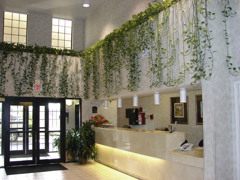 Quality Inn & Suites Airport Austin Dış mekan fotoğraf